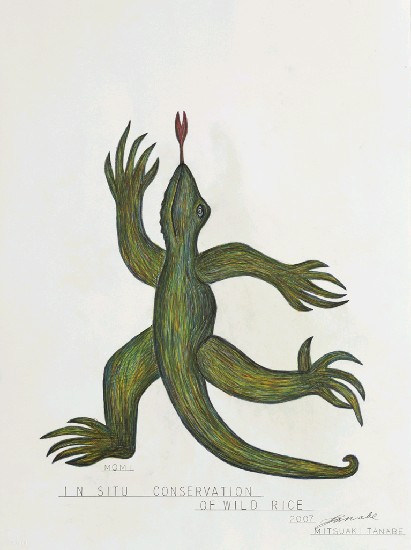 藏品:蜥蜴系列1-7的(6)張圖片