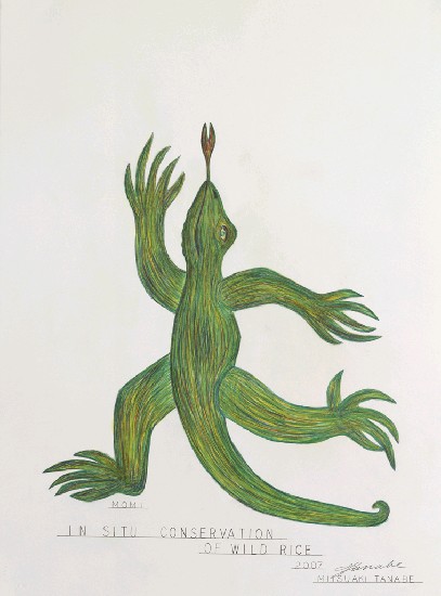 藏品:蜥蜴系列1-7的(7)張圖片