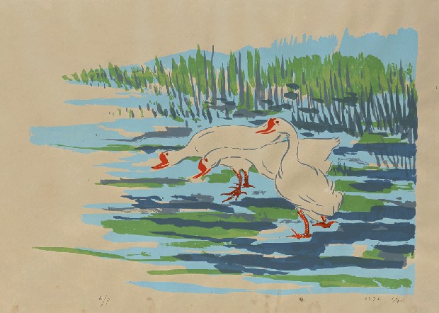 藏品:三鵝的(1)張圖片