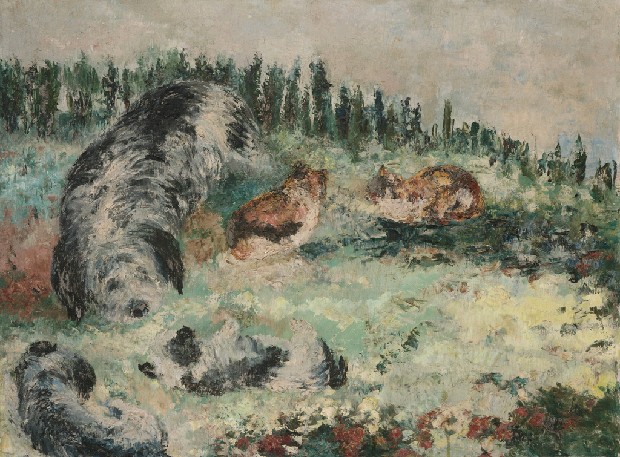 藏品:和睦同居貓與狗的(1)張圖片