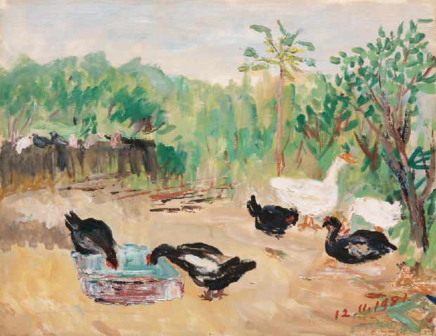 藏品:高山族寫景的(1)張圖片