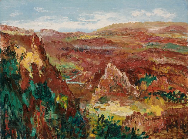 藏品:大峽谷的(1)張圖片