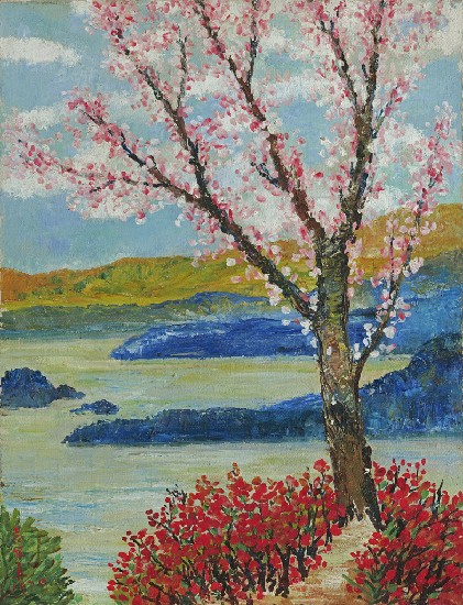 藏品:陽明山櫻花一景的(1)張圖片