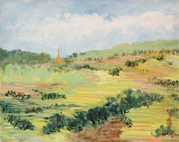 藏品:梯田的(1)張圖片