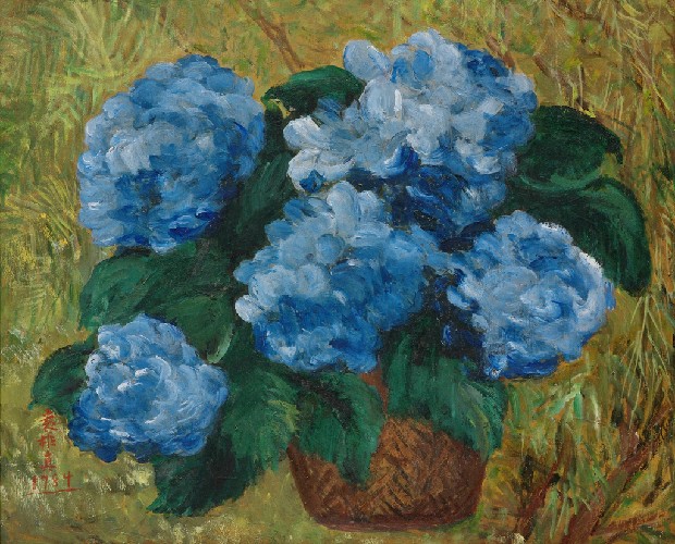 藏品:紫色繡球花的(1)張圖片