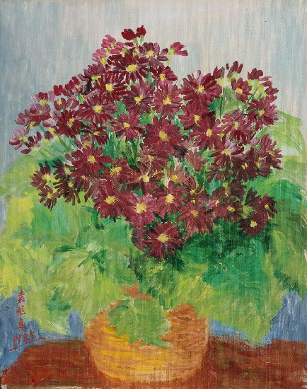 藏品:瓜葉菊的(1)張圖片