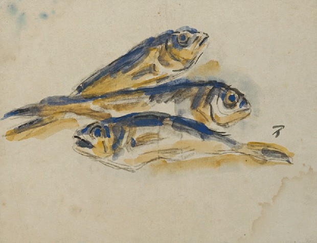 藏品:四剖魚的(1)張圖片