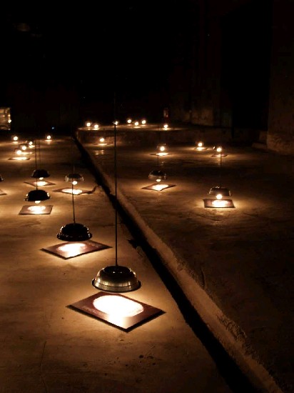 藏品:黑暗中的萌芽(燈)的(1)張圖片