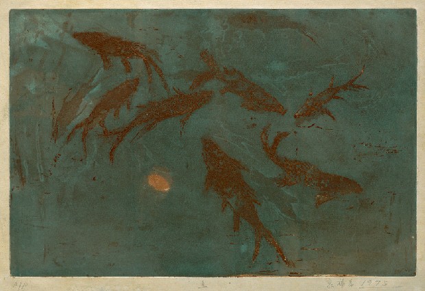 藏品:魚的(1)張圖片