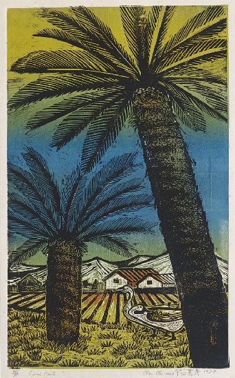 藏品:蘇鐵的(1)張圖片