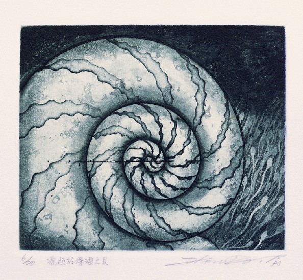 藏品:源起深海之貝的(1)張圖片