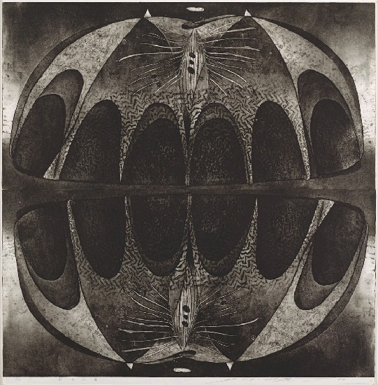 藏品:對立之繭的(1)張圖片