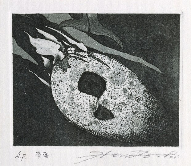 藏品:墜落的(1)張圖片