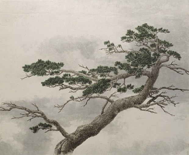 藏品:松的(1)張圖片