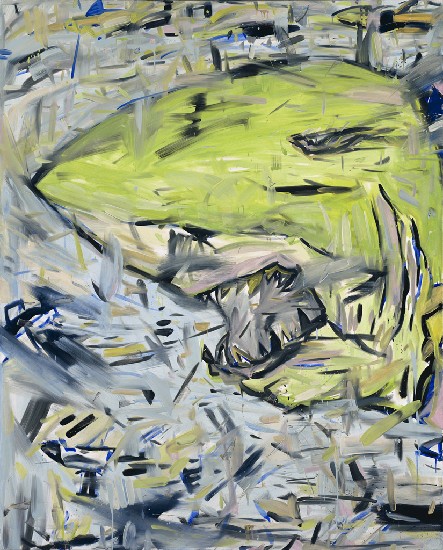 藏品:生化綠鯊的(3)張圖片