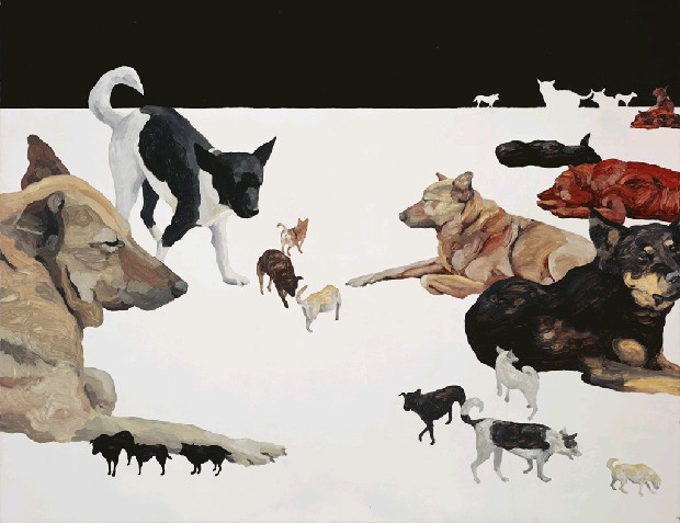 藏品:22 dogs的(1)張圖片