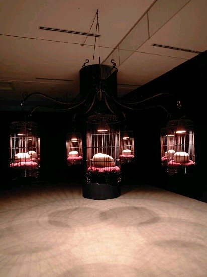 藏品:班特2的(1)張圖片