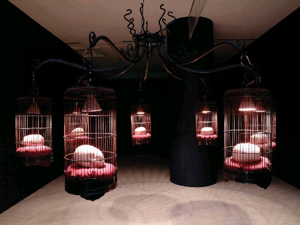 藏品:班特2的(2)張圖片