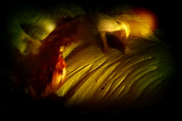 藏品:垂死造物哀歌作品第三號的(3)張圖片