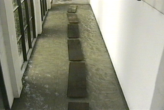 藏品:彈簧木系列Ι的(1)張圖片