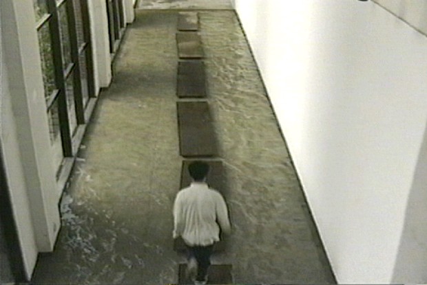 藏品:彈簧木系列Ι的(2)張圖片