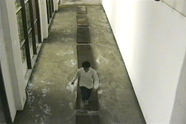 藏品:彈簧木系列Ι的(3)張圖片