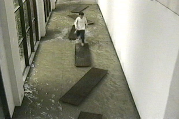 藏品:彈簧木系列Ι的(4)張圖片