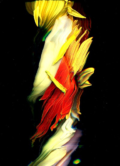 藏品:湧流的(3)張圖片