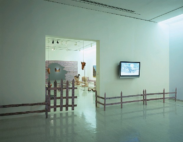 藏品:騎乘課的(3)張圖片