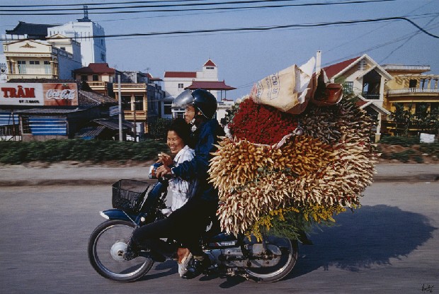 藏品:超負載的機車-花的(1)張圖片