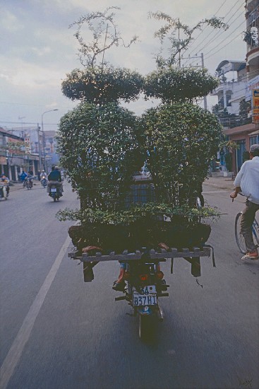 藏品:超負載的機車-造景植栽     的(1)張圖片