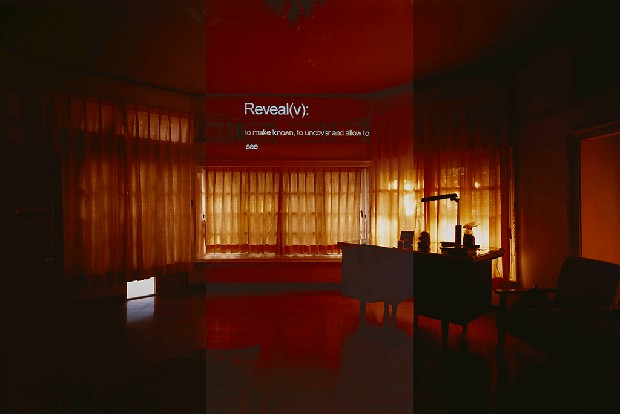 藏品:所在-Reveal的(1)張圖片