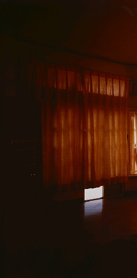 藏品:所在-Reveal的(2)張圖片