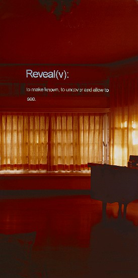 藏品:所在-Reveal的(3)張圖片