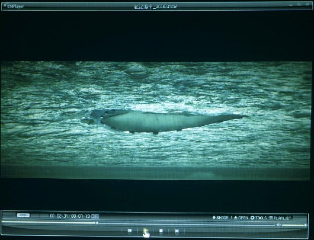 藏品:在記憶中的(1)張圖片