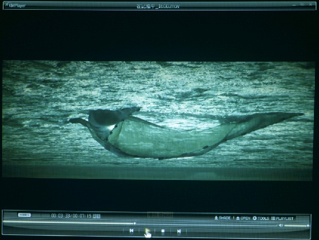 藏品:在記憶中的(2)張圖片