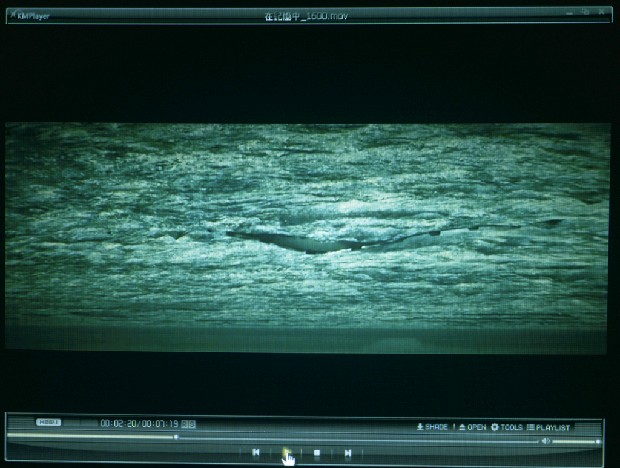 藏品:在記憶中的(4)張圖片