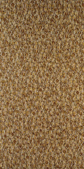 藏品:渾然不知的生活系列的(3)張圖片