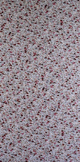 藏品:渾然不知的生活系列的(4)張圖片