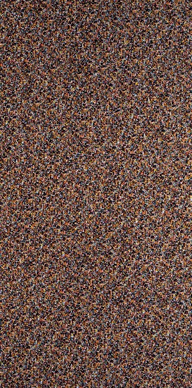 藏品:渾然不知的生活系列的(6)張圖片