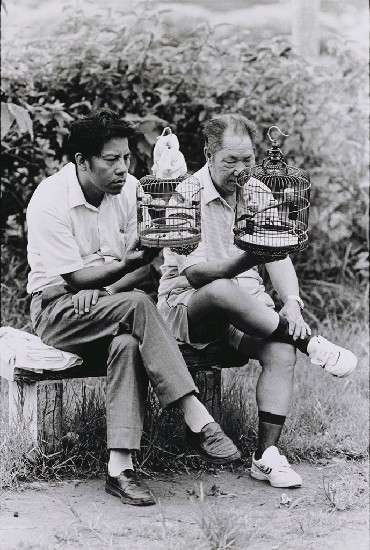 藏品:台北人之3的(1)張圖片