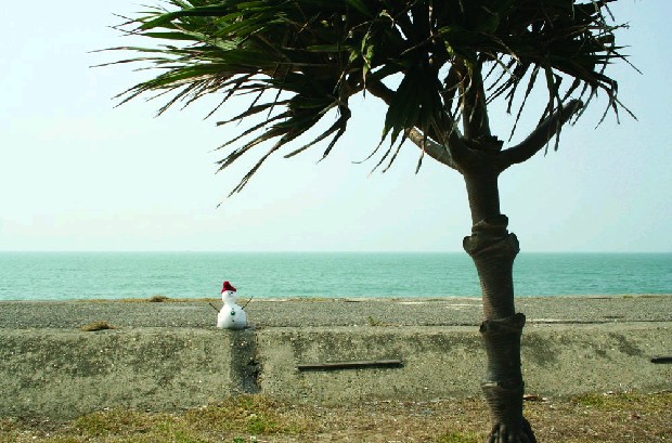 藏品:熱帶計畫:雪人的(1)張圖片