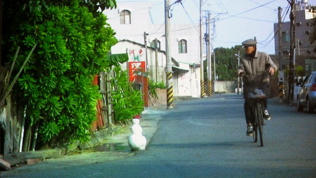藏品:熱帶計畫:雪人的(2)張圖片