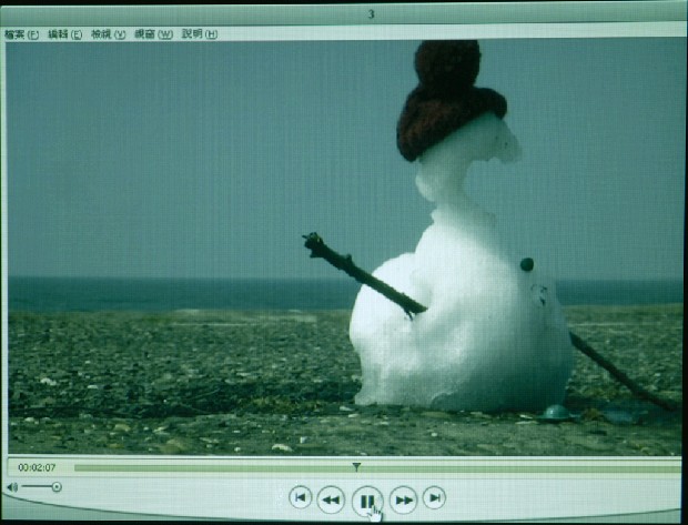 藏品:熱帶計畫:雪人的(4)張圖片