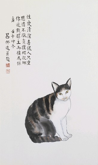 藏品:貓的(1)張圖片