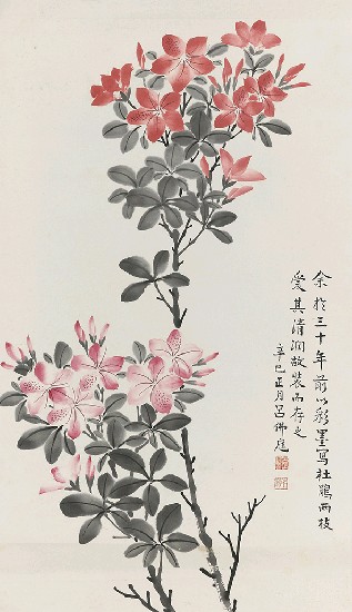 藏品:杜鵑花的(1)張圖片