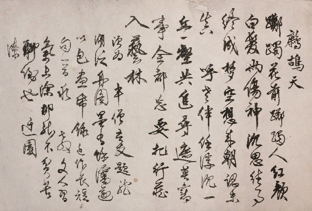 藏品:鷓鴣天的(1)張圖片