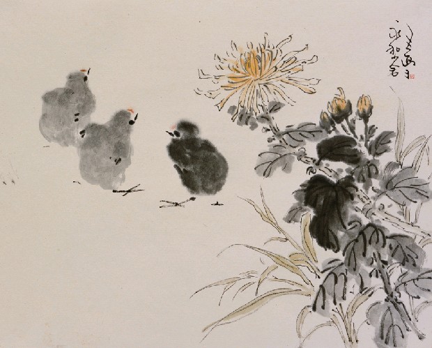 藏品:菊與雞的(1)張圖片