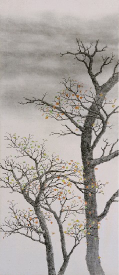 藏品:樹的(1)張圖片