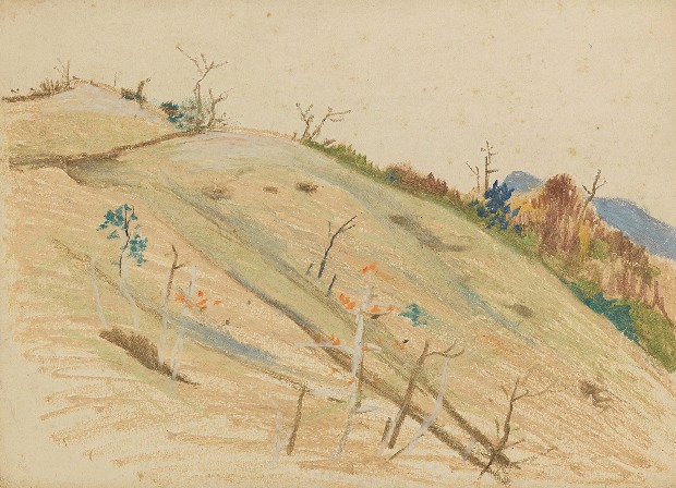 藏品:坡的(1)張圖片